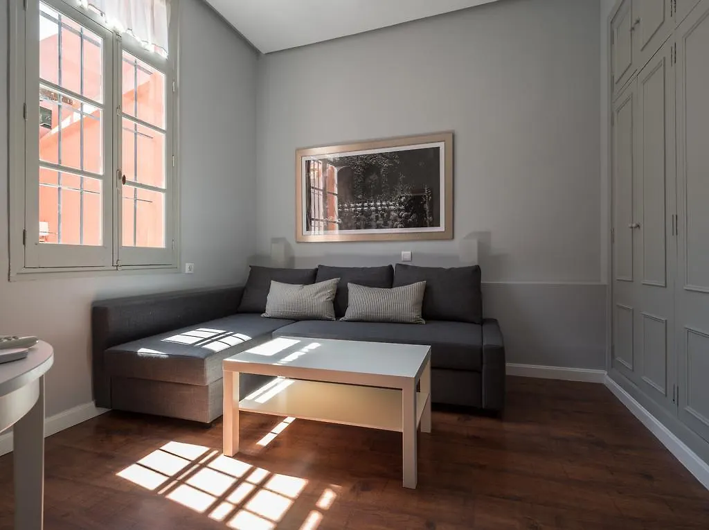 U-Sense Sevilla Santa Cruz Apartment Seville